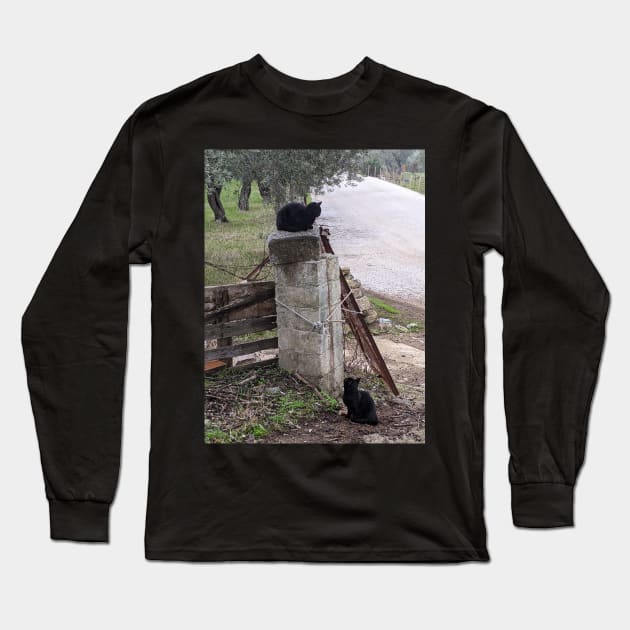 The Solace of Cats Long Sleeve T-Shirt by aeolia